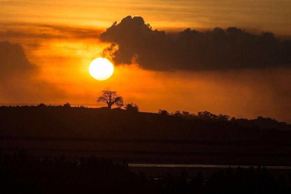 Pousada Vivenda Dos Corais Porto de Galinhas Bagian luar foto